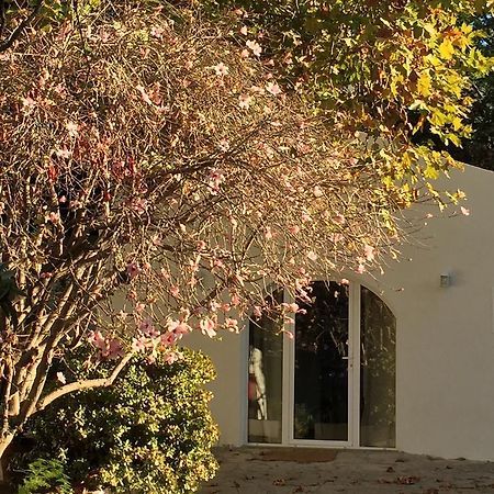 Villa Casa Do Hibisco São João do Estoril Exterior foto