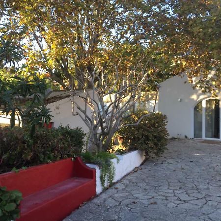 Villa Casa Do Hibisco São João do Estoril Exterior foto