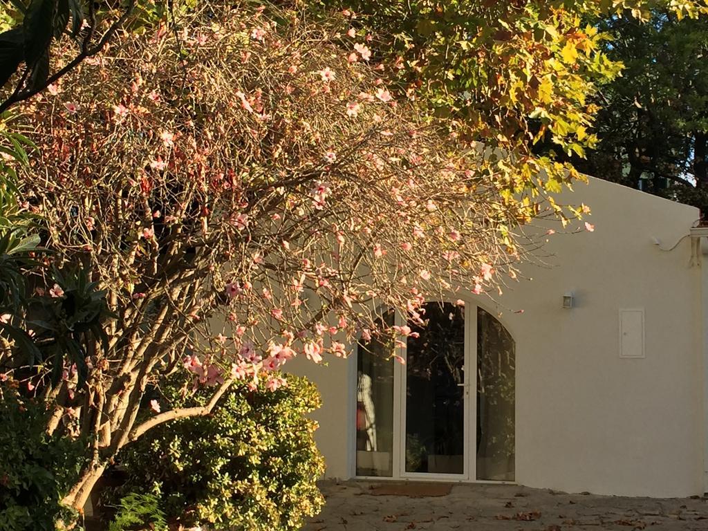 Villa Casa Do Hibisco São João do Estoril Exterior foto