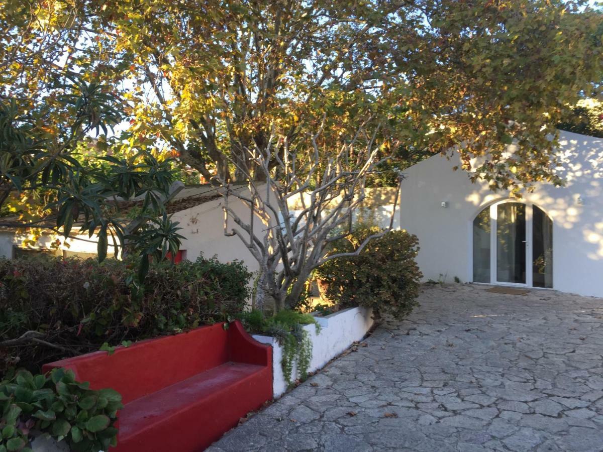 Villa Casa Do Hibisco São João do Estoril Exterior foto